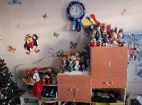 �����������